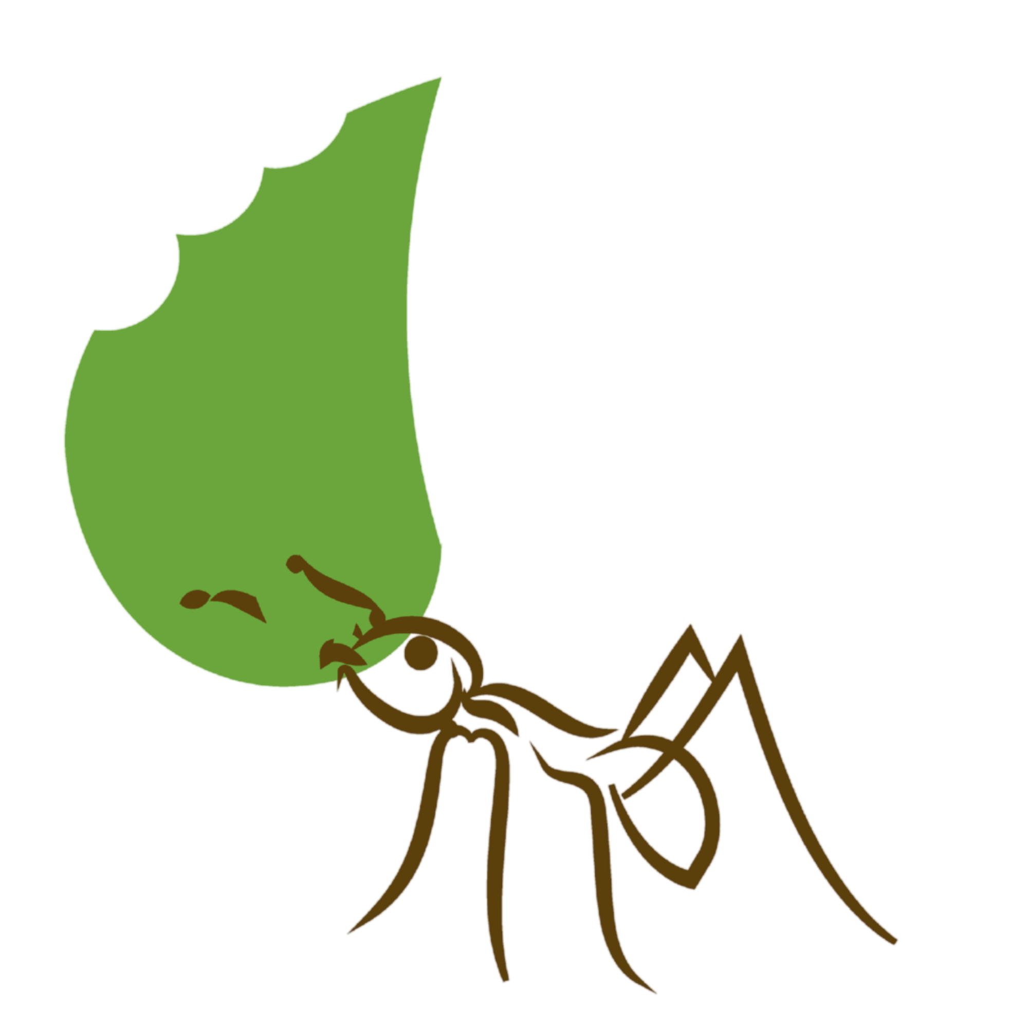 Simbología Hormiga LEM